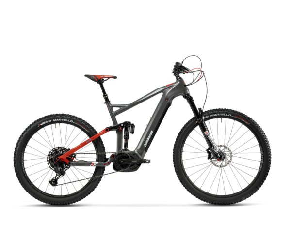 E-Bike SEMPIONE PRO