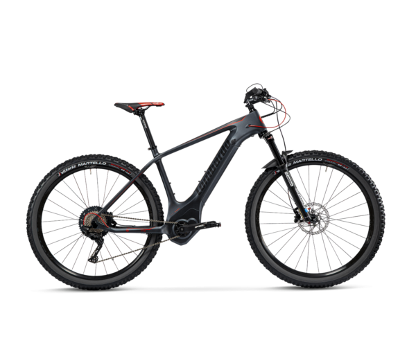 E-Bike MONTBLANC
