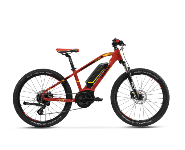 E-Bike GARDA 24