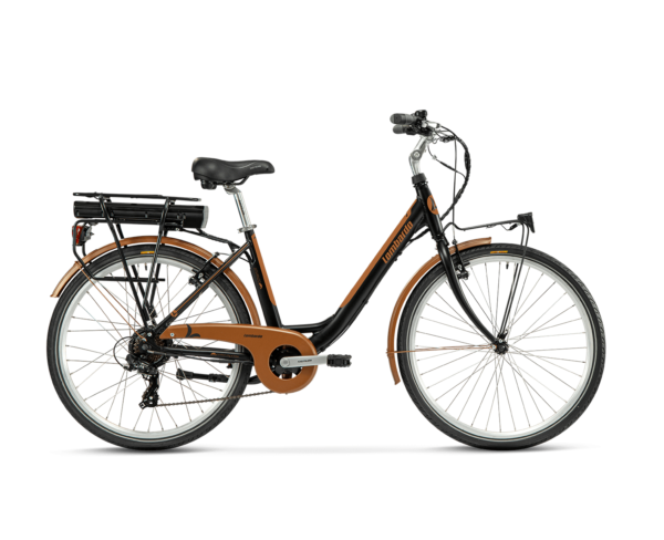 E-Bike LEVANZO CITY