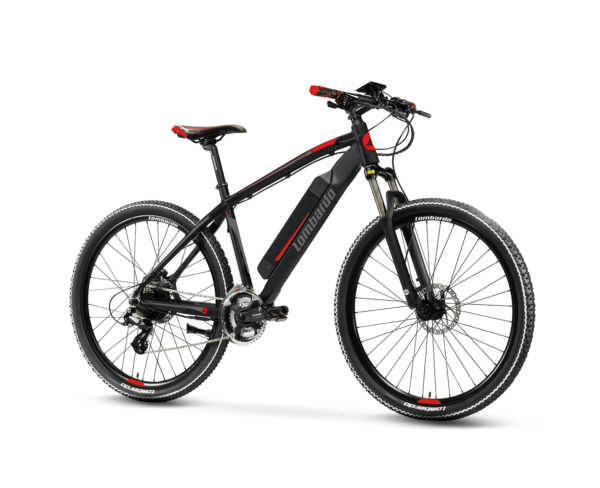 E-Bike VALDERICE WM