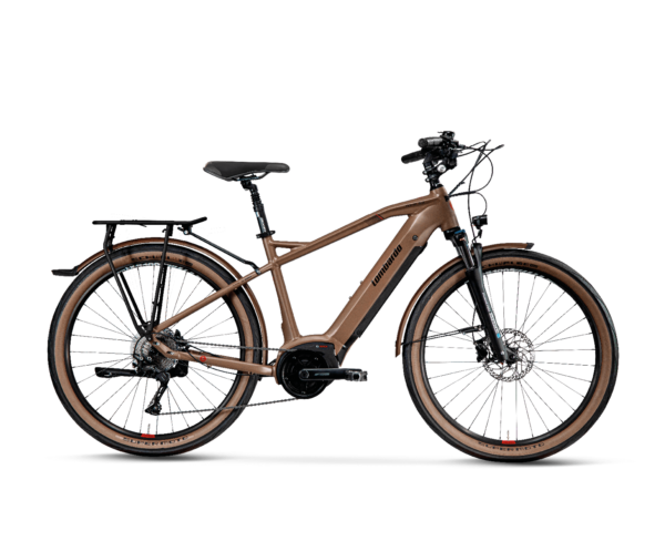E-Bike ROMA 9.5 MAN