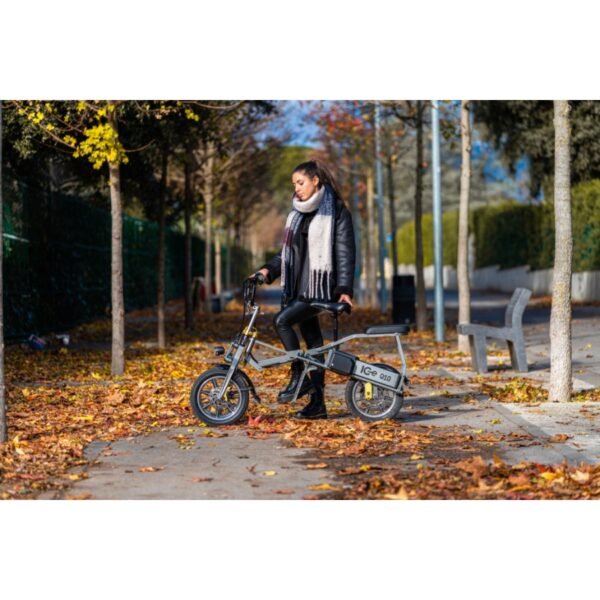 Triciclo Eléctrico ICe Q10 48V - Imagen 10