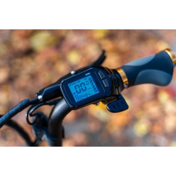 Triciclo Eléctrico ICe Q10 48V - Imagen 13