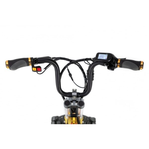 Triciclo Eléctrico ICe Q10 48V - Imagen 19