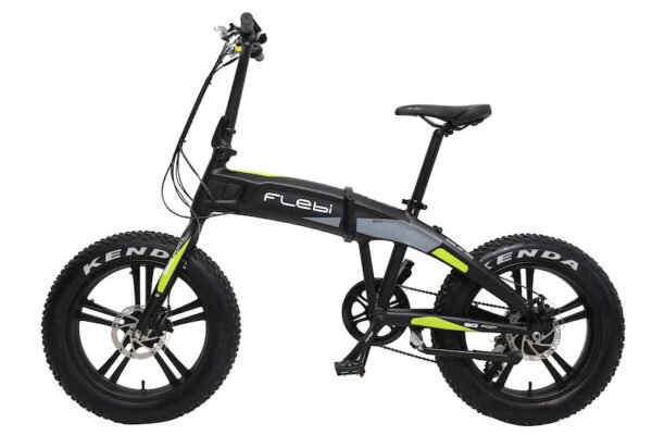 E-Bike FLEBI BIGFOOT - Imagen 2