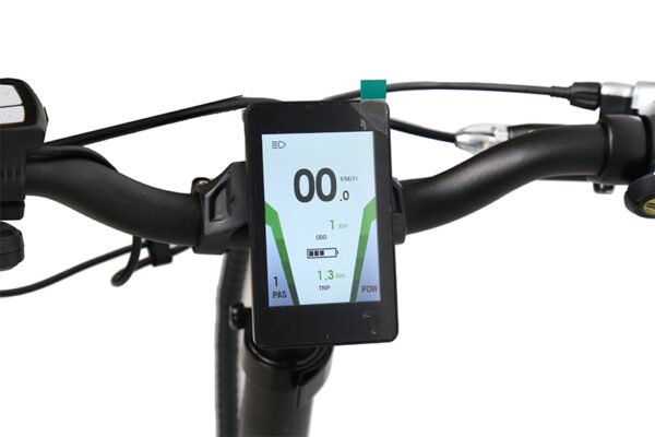 E-Bike FLEBI SWAN LITE - Imagen 2