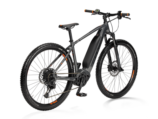 STREAMER 29'' SPORTIVE 2022 - Imagen 2