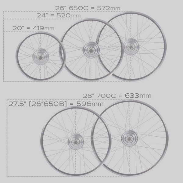 Handbikes - Imagen 2
